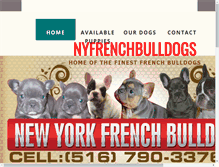 Tablet Screenshot of nyfrenchbulldog.com